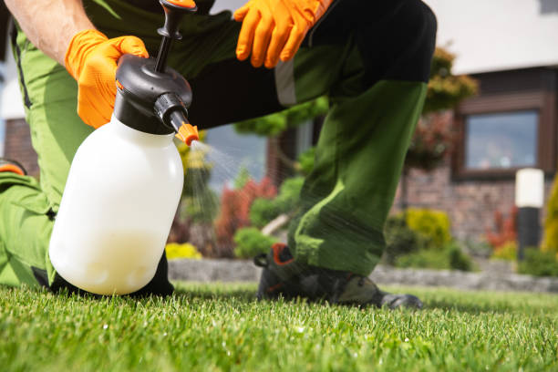 Best Lawn Pest Control  in Ruston, WA